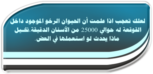 test_m-5_copy.png