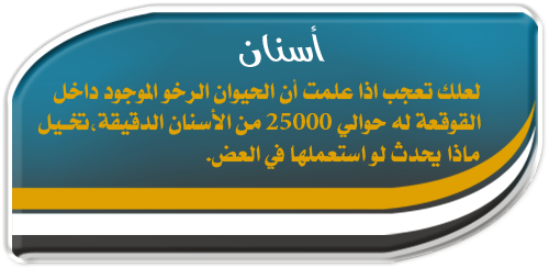 test_m-4_copy.png